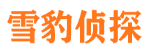 益阳市侦探公司